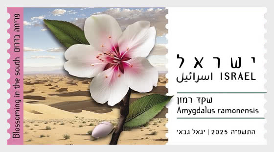 2025 ATM - Amygdalus Ramonesis - Serie
