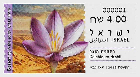 2025 Geldautomat – Aufblühen im Süden - Serie