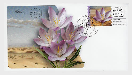 2025 ATM - Fioritura nel Sud - FDC