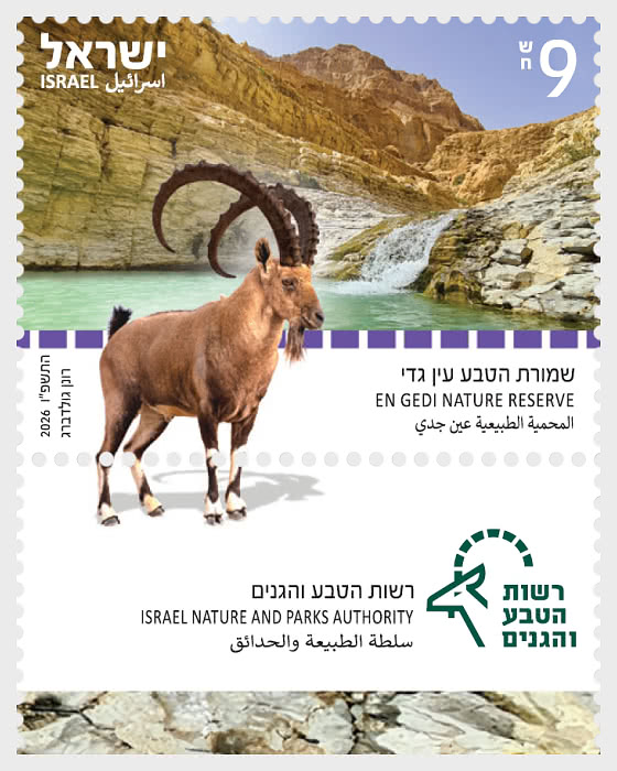 2026 Reserva Natural - Series