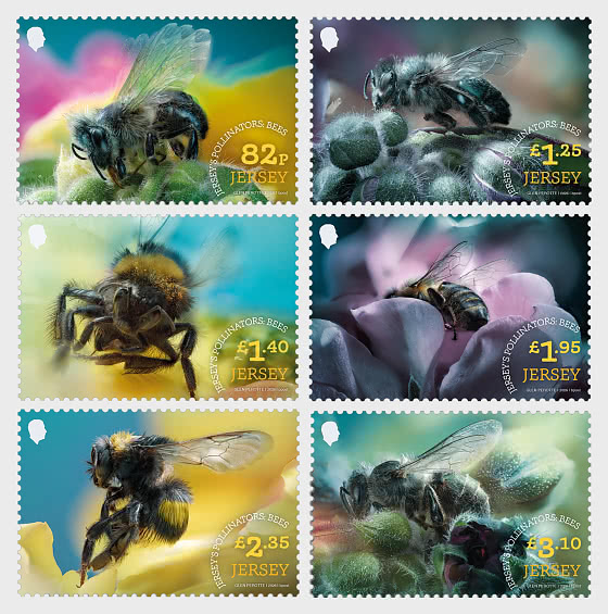 2026 Jerseys Bestäuber – Bienen - Serie