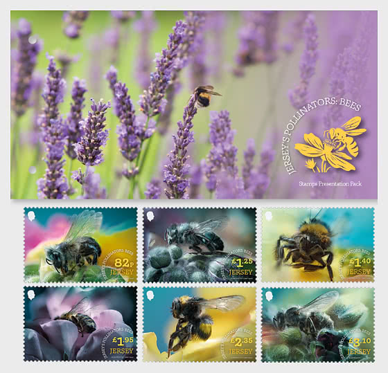 2026 Les Pollinisateurs de Jersey - Les Abeilles - Paquet de présentation