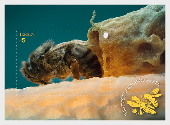 2026 Jerseys Bestäuber – Bienen - Sonderblock CTO