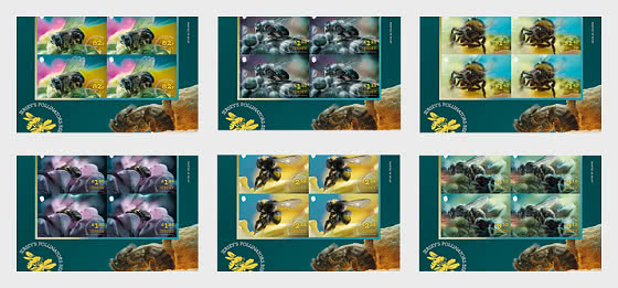 2026 Jerseys Bestäuber – Bienen - Viererblock