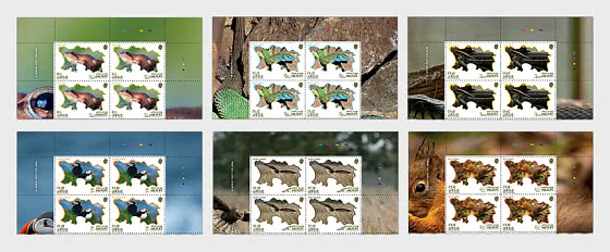 2026 PRE-ORDER Native Island Wildlife - Block of 4