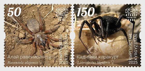 2025 Пауки Кыргызстана - Набор