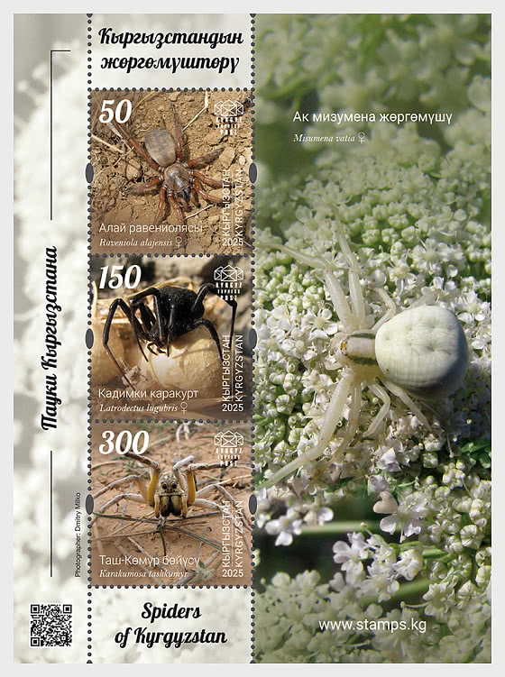 2025 Пауки Кыргызстана - Миниатюрный лист