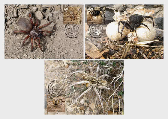 2025 Пауки Кыргызстана - Макси-карты