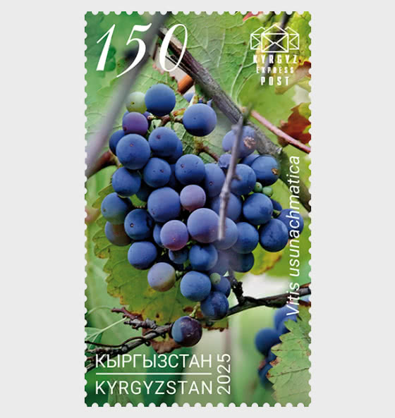 2025 乌尊-阿赫马特葡萄 - 吉尔吉斯共和国红皮书 - 套票