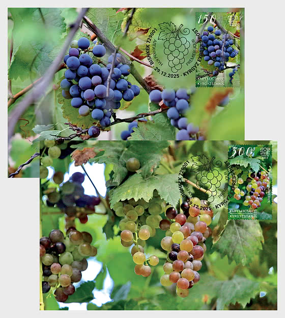 2025 Raisin Uzun-Akhmat - Livre Rouge de la République Kirghize - Maxi Cards