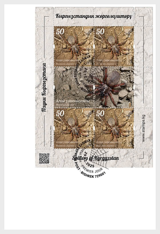 2025 吉尔吉斯斯坦的蜘蛛 - 收藏品