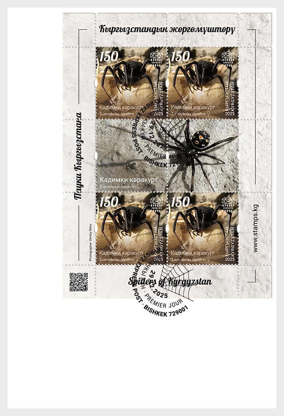 2025 Пауки Кыргызстана - Коллекционные предметы