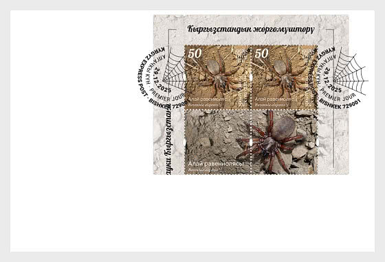 2025 吉尔吉斯斯坦的蜘蛛 - 收藏品