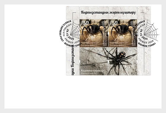 2025 吉尔吉斯斯坦的蜘蛛 - 收藏品