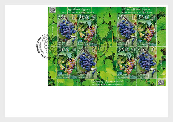 2025 Uzun-Akhmat-Traube – Rote Liste der Kirgisischen Republik - Sammelbares