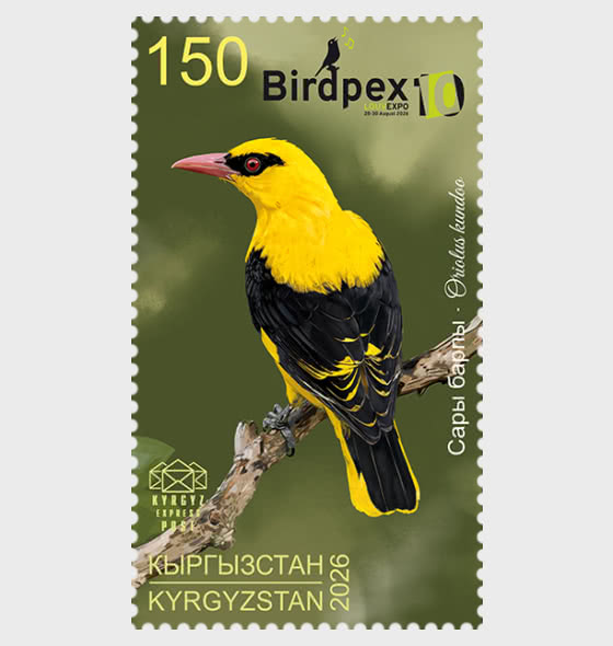 2026 Birds of Kyrgyzstan - The Indian Golden Oriole - Set