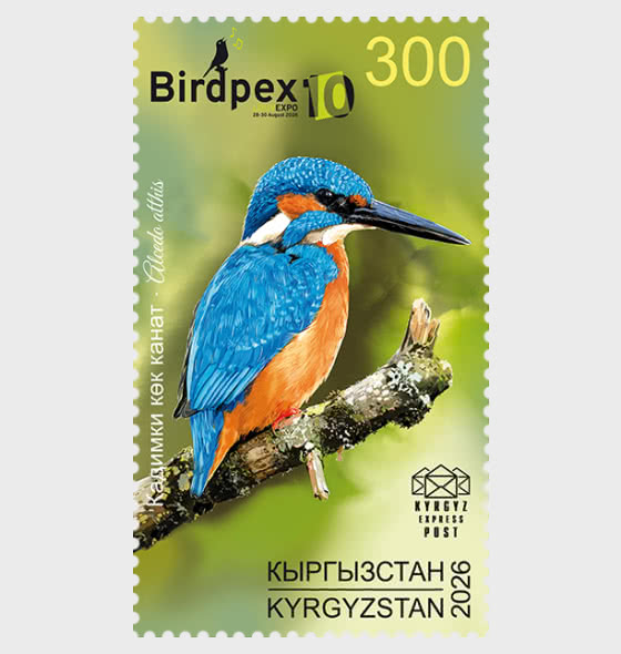 2026 Birds of Kyrgyzstan - The Common Kingfisher - Set
