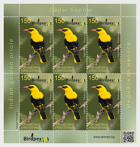 2026 Birds of Kyrgyzstan - The Indian Golden Oriole - Sheetlets