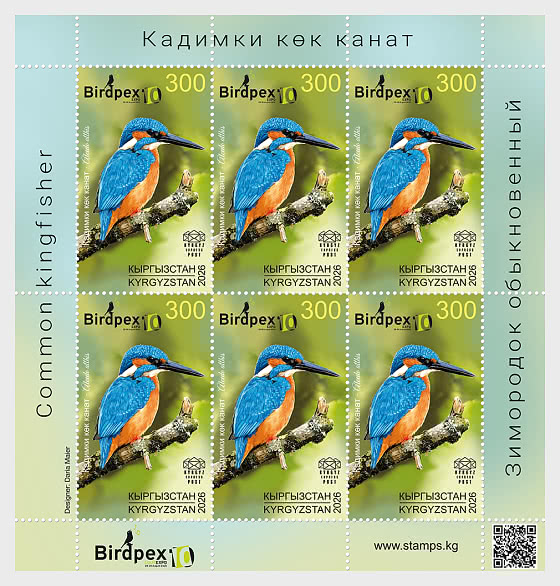 2026 Birds of Kyrgyzstan - The Common Kingfisher - Sheetlets