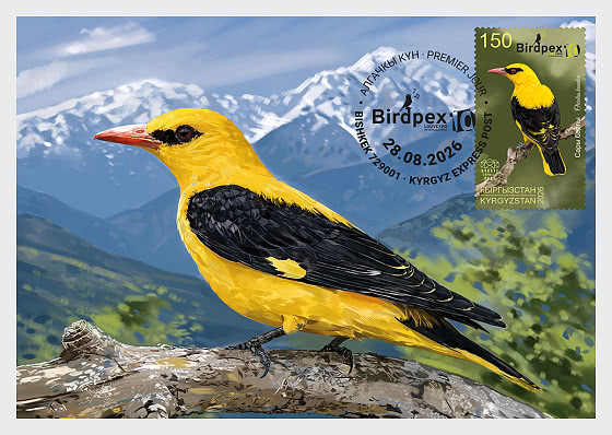 2026 Birds of Kyrgyzstan - The Indian Golden Oriole - Maxi Cards