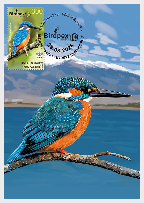 2026 Birds of Kyrgyzstan - The Common Kingfisher - Maxi Cards