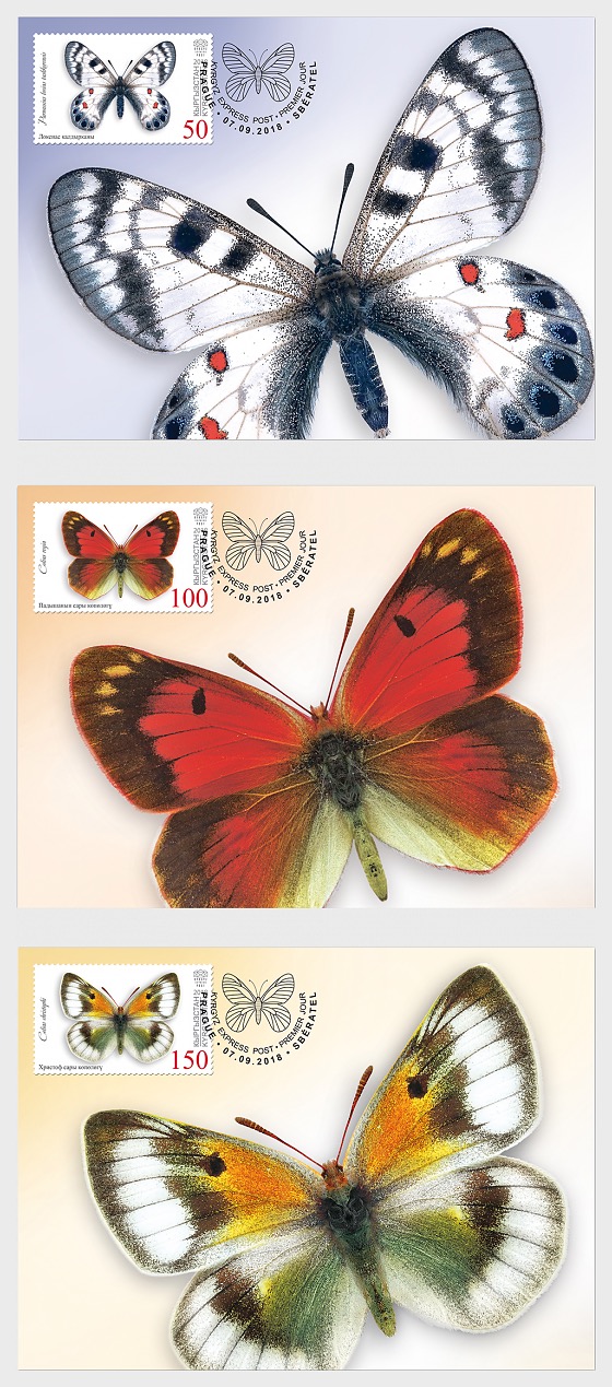 2018 Butterflies of Kyrgyzstan - Maxi Cards