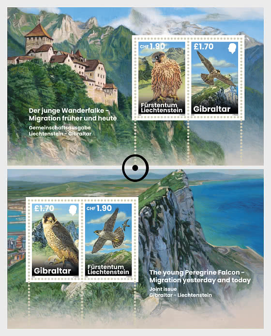2025 Junge Wanderfalken – Migration Damals und Heute - Sonderblock CTO