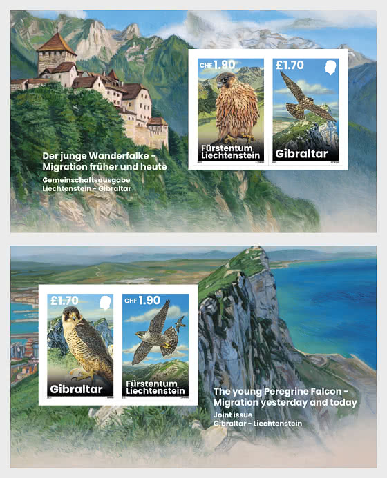 2025 Young Peregrine Falcons - Migration Now and Then - Imperforated M/S - Collectibles