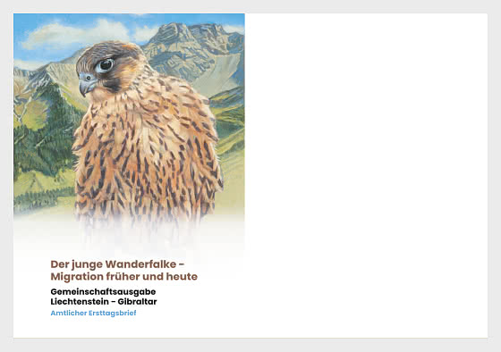 2025 Young Peregrine Falcons - Migration Now and Then - FDC without stamp