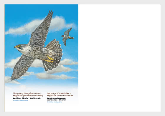 2025 Jeunes Faucons Pèlerins - Migrations d'hier et d'aujourd'hui - FDC sans timbre