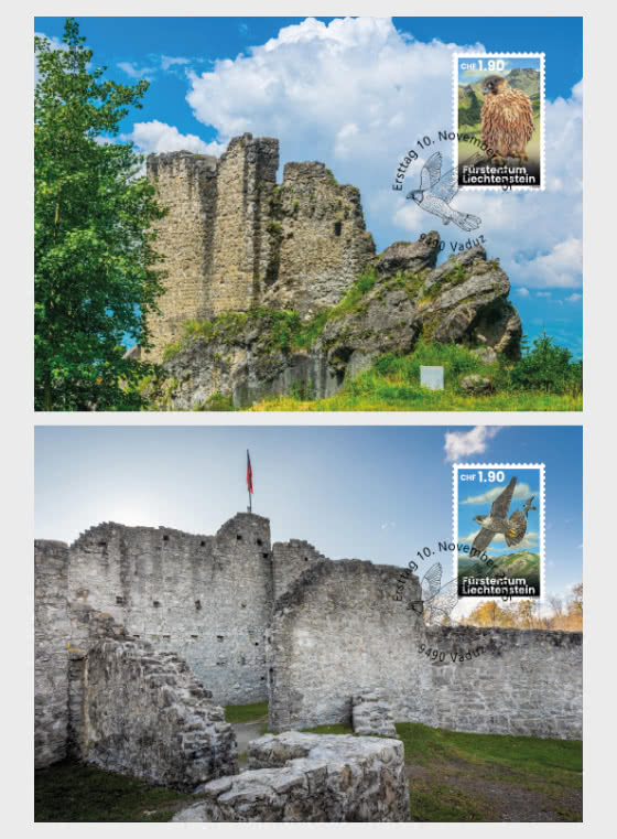 2025 Jeunes Faucons Pèlerins - Migrations d'hier et d'aujourd'hui - Maxi Cards