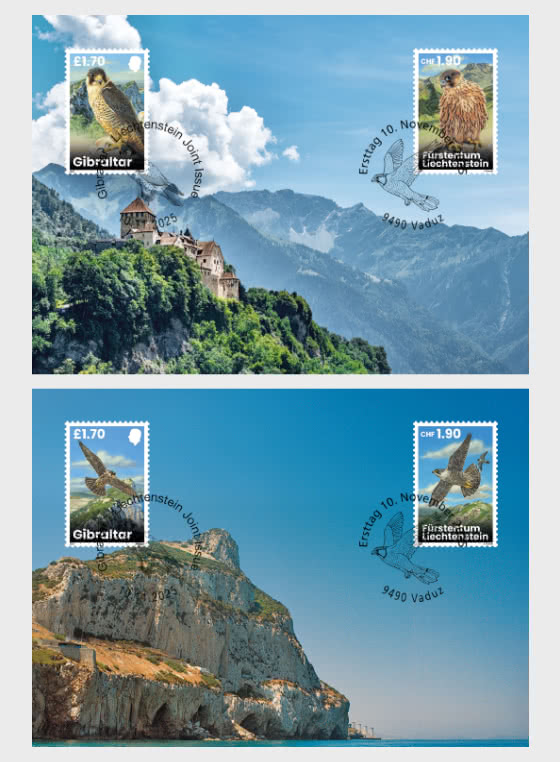 2025 Молодые сапсаны: миграция сейчас и тогда - Макси-карты