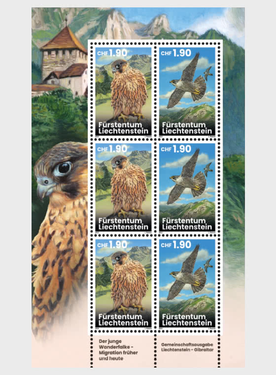 2025 Jeunes Faucons Pèlerins - Migrations d'hier et d'aujourd'hui - Mini-feuilles