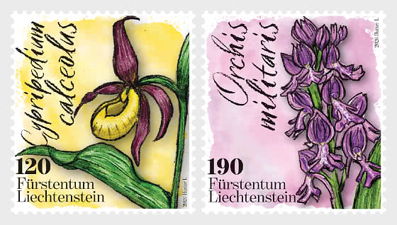 2026 Orchids - Set