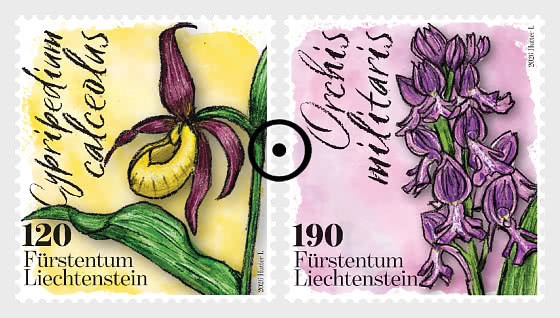 2026 Orchids - Set CTO