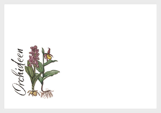2026 Orchids - FDC without stamp