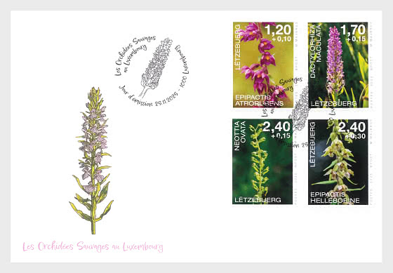 2025 Орхидеи - Конверт первого дня