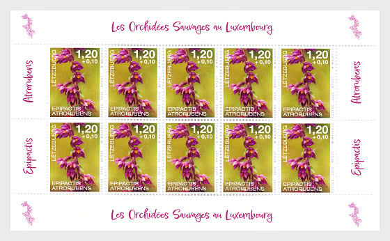 2025 Орхидеи - Марочные листы