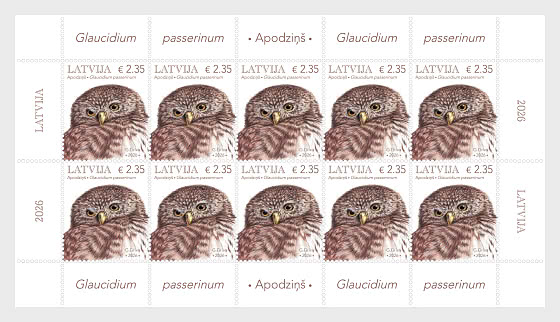2026 Eurasian Pygmy Owl - Sheetlets