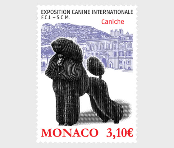 2026 Exposición Canina Internacional - Series