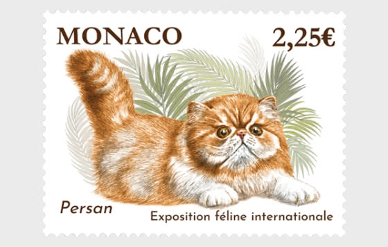 2026 Internationale Katzenausstellung - Serie CTO