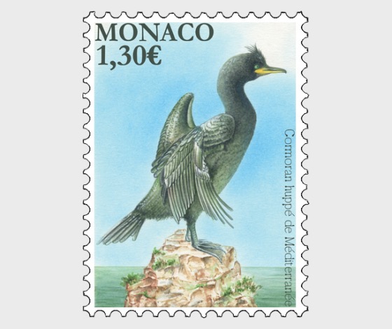 2018 National Species - The Mediterranean Shag - Set