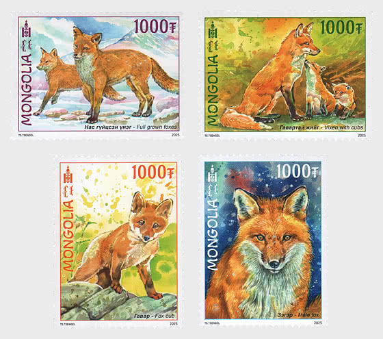 2025 Red Fox - Set