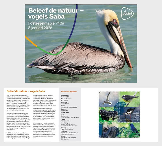 2026 Experimente la Naturaleza - Aves Saba - Pack de Presentación