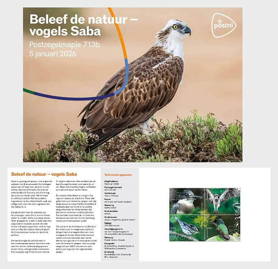 2026 Experimente la Naturaleza - Aves Saba - Pack de Presentación