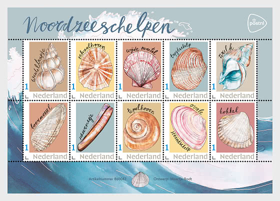 2026 North Sea Shells - Sheetlets