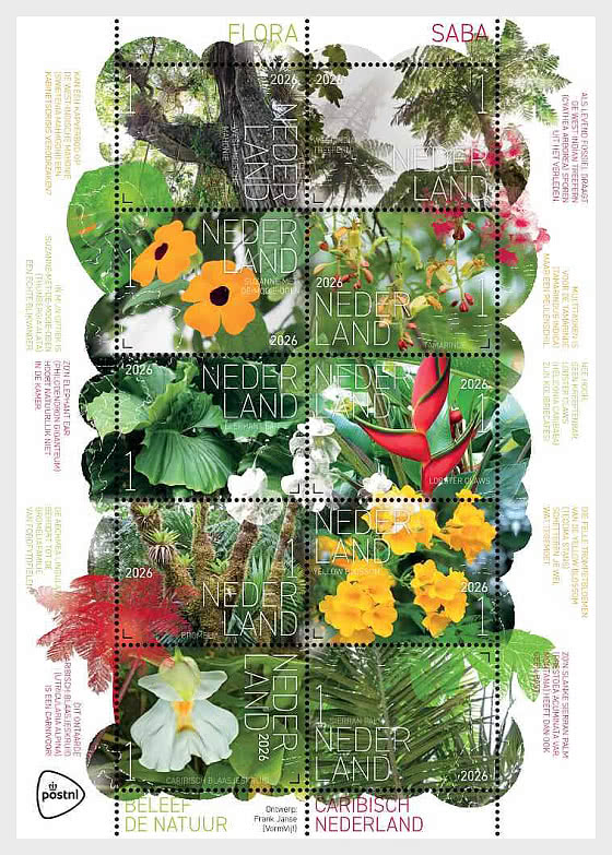 2026 Découvrez la Nature - Flora Saba - Mini-feuilles