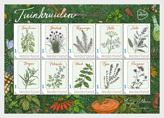 2026 Erbe Aromatiche da Giardino - Minifogli