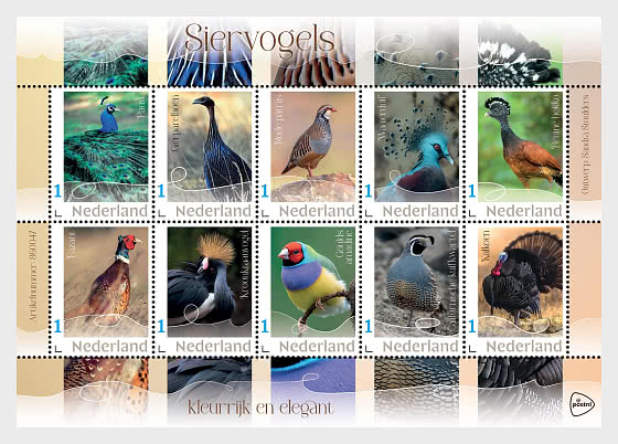 2026 Aves Ornamentales, Coloridas y Elegantes - Mini Hojas