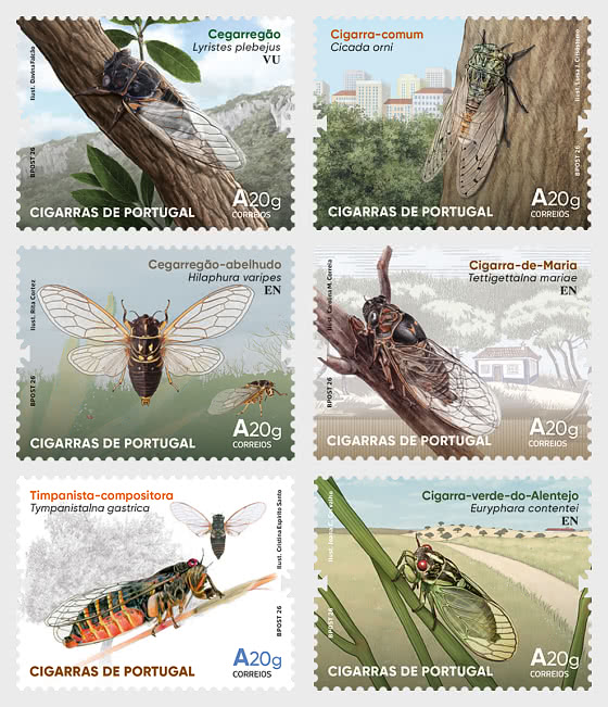 2026 Las Cigarras de Portugal - Series